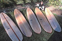 Wegener quiver